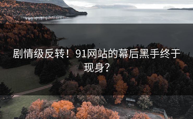 剧情级反转！91网站的幕后黑手终于现身？