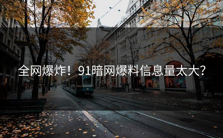 全网爆炸！91暗网爆料信息量太大？