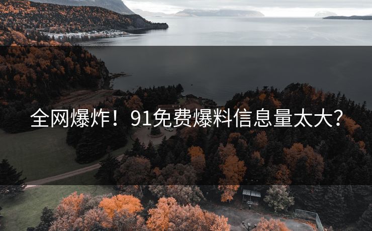 全网爆炸！91免费爆料信息量太大？