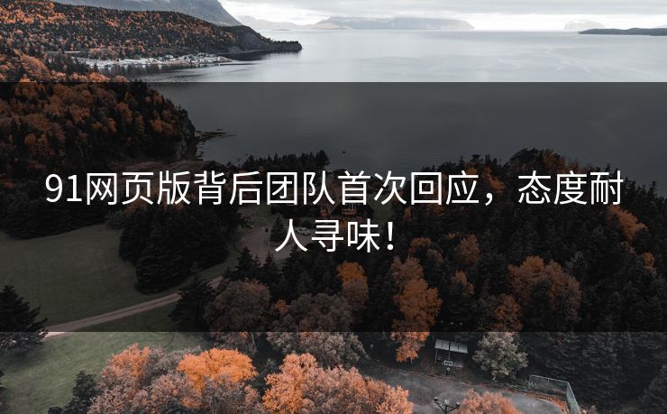 91网页版背后团队首次回应，态度耐人寻味！