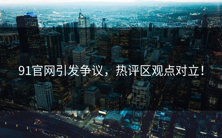 91官网引发争议，热评区观点对立！