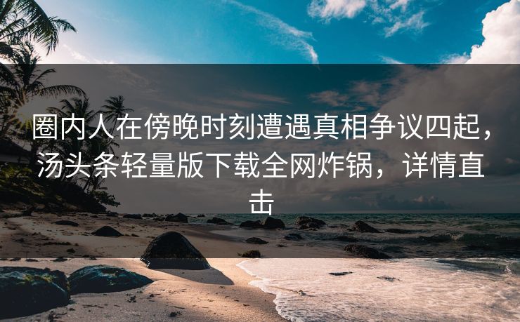 圈内人在傍晚时刻遭遇真相争议四起，汤头条轻量版下载全网炸锅，详情直击